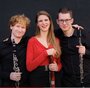 Veselská ozvěna 2020 - Trio Auric