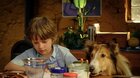 Lassie: Nové dobrodružství - Letní kino