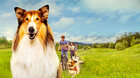 Lassie: Nové dobrodružství - Letní kino