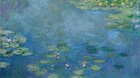 Maľby moderných záhrad - Monet až Matisse