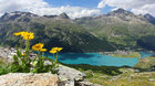 Švýcarsko - Velká cesta srdcem Alp - Cestovatelská diashow Martina Loewa