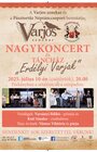 VARJOS koncert s tanečným domom 2025