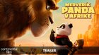 MEDVEDÍK PANDA V AFRIKE