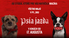 Psia jazda