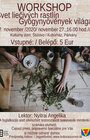 WORKSHOP - Svet liečivých rastlín, 27.11.2020
