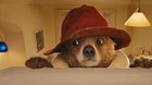 Paddington