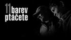 11 barev ptáčete