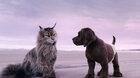 Kočka a pes: Šílené dobrodružství