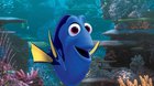 Hľadá sa Dory!