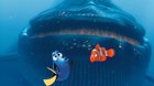 Hľadá sa Dory!