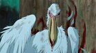 Chlapec a volavka / Predpremiéra