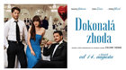 Dokonalá zhoda