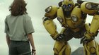 Bumblebee