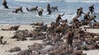 Dunkirk
