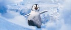 Happy Feet 2