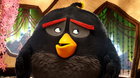 Angry Birds ve filmu - 3D