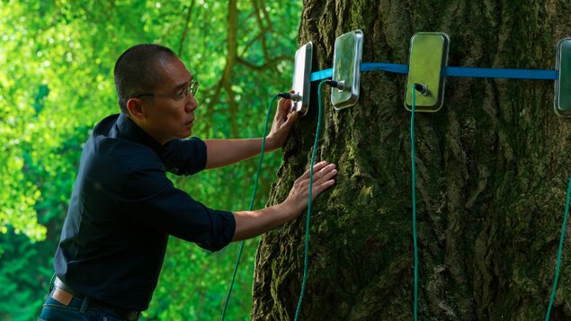 TICHÝ PRIATEĽ :: MFF FEBIOFEST