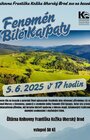 Fenomén Bílé Karpaty