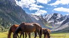 Kyrgyzstán – země vysokých hor a šťastných lidí