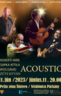 Acoustic