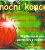 Vánoční koncert ZUŠ Sokolov, pobočka Březová 