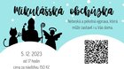 Mikulášská obchůzka