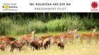 Návštěva obory se zvířátky
