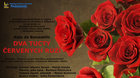 Dva tucty červených ruží