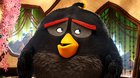 Angry Birds vo filme