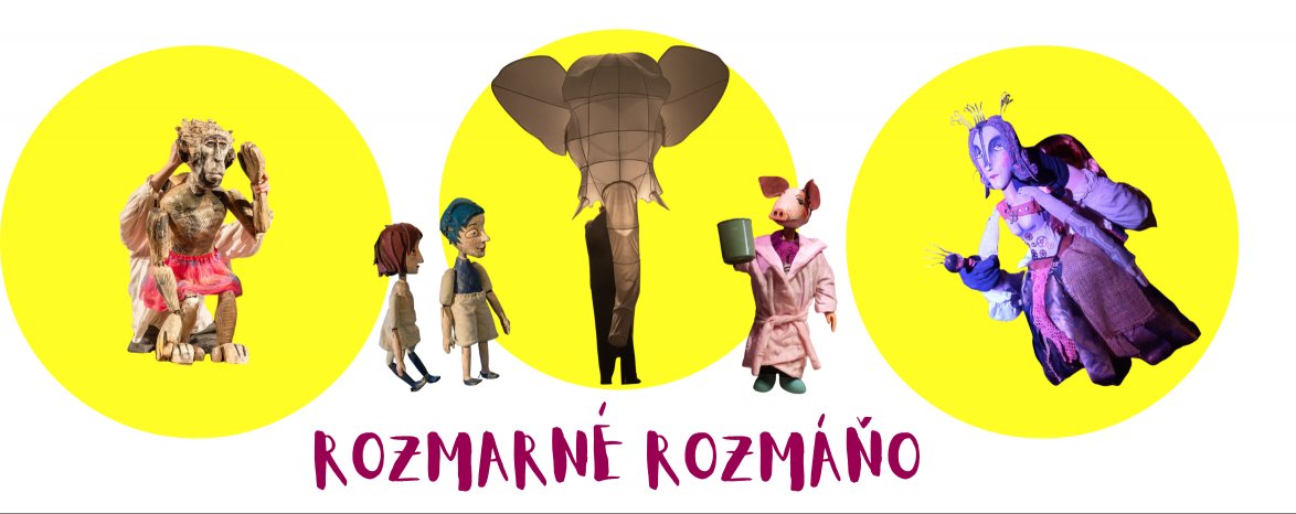 Výstava: ROZMARNÉ ROZMÁŇO