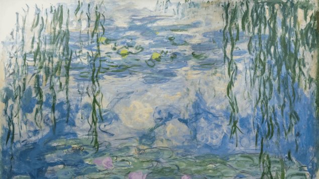 Monetovy lekníny – magie vody a světla