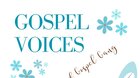 KONCERT SKUPINY GOSPEL VOICES