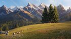 Heidi, děvčátko z hor: Legenda o rysovi
