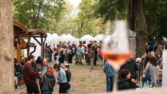 Strakonický festival vína 2026