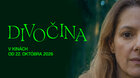 Divočina
