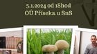 Jarní houby Světelska