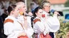 DH Vlčnovjanka