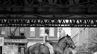 Hľadanie Vivian Maier 