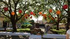 FOTO: Pite Party 25.08.2017