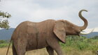 Kilimanjaro - Tanzanie