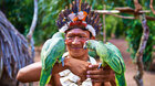 Motani: Dravá Amazonie