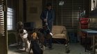 DogMan 