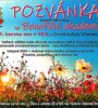 Benefiční akademie