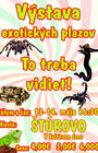 Výstava exotických plazov