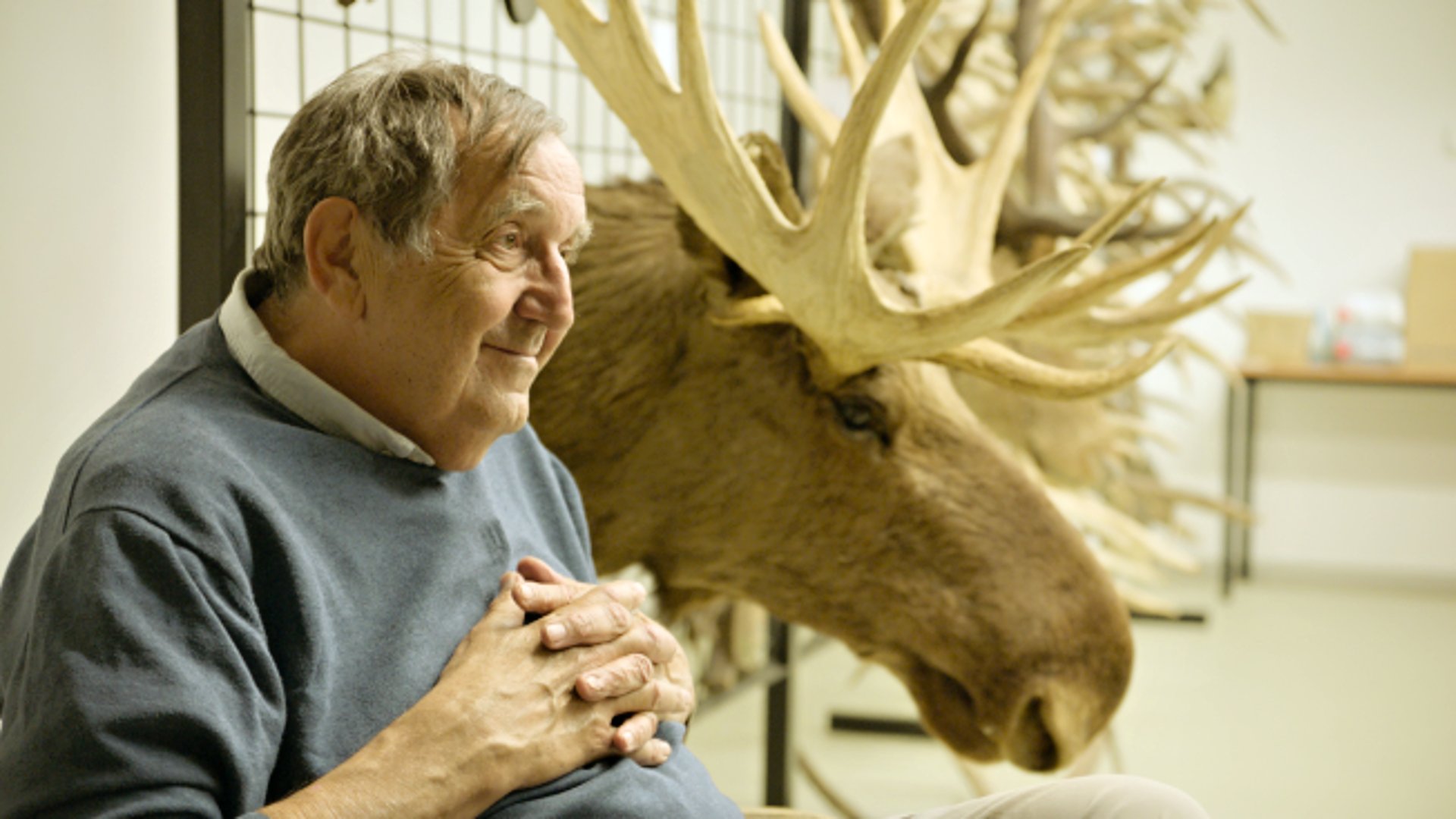 Amoosed: losia odysea