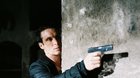 Anthropoid