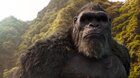 Godzilla vs. Kong