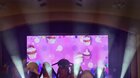Bing Nyuszi Show 