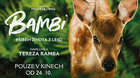 Film: Bambi: Příběh života z lesů