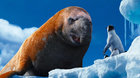 Happy Feet 2